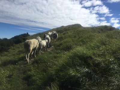 Naturzeit in den Bergen