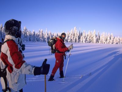 Der Weg zur�ck (Foto: Sandra Peter und Jochen Oetinger)
