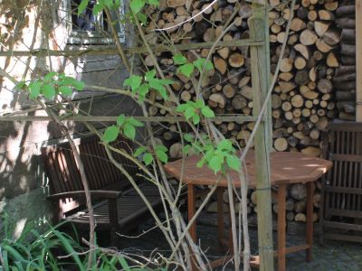 Familienurlaub Niedersachsen Deutschland Pferde