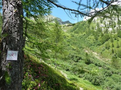 H�henweg Walserweg im Aostatal in den italienischen Alpen