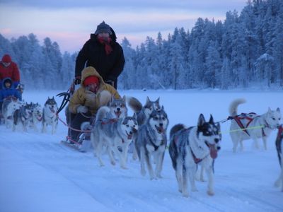 Auf Hundeschlittenabenteuer in Lapplands Wildnis (Foto: Jokkmokkguiderna)