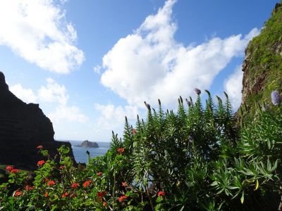 Madeira Wandern organisiert mit Gep�cktransfer
