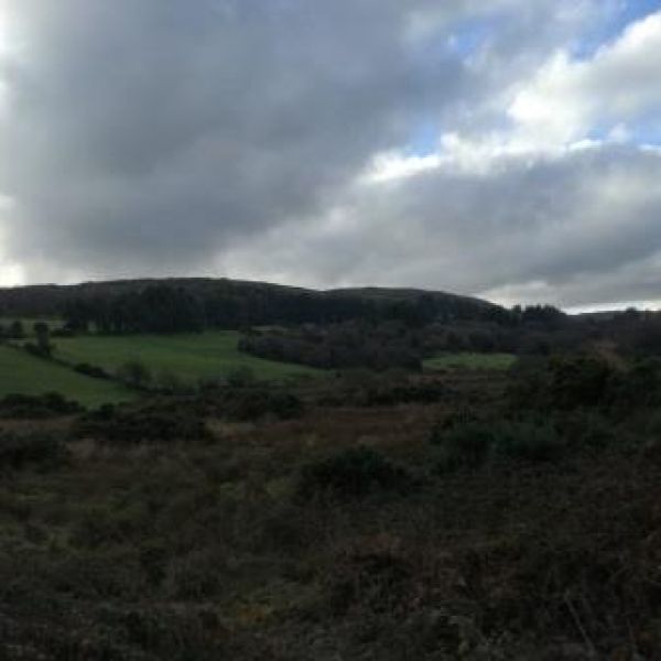 �ko-Pension in Irland - G�lische Kultur und wilde K�sten