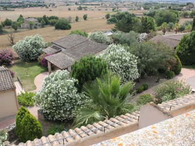 Mallorca Zentrum landestypisch Finca Montuiri
