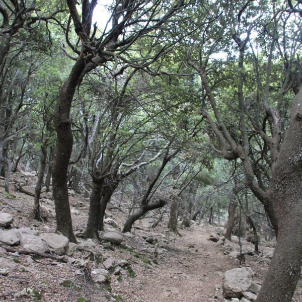 K�sten- und Bergwanderung auf Pilgerwegen - Mallorca