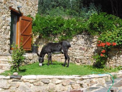 Familienreise Urlaub Familie Kinder Portugal nachhaltig �ko