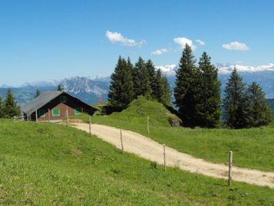 Wanderweg zum Berggasthof Burgeist am Vierwaldst�ttersee