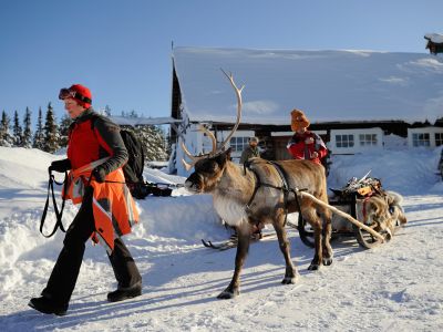 Unterwegs mit dem Rentierschlitten (Foto: Sandra Peter und Jochen Oetinger)