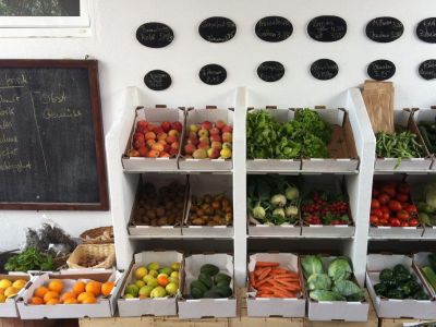 Bioladen im Centro de Terapia Antropos�fica