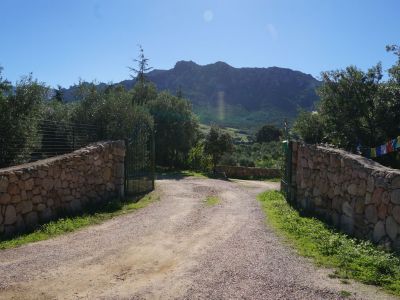 Sommerurlaub im Agriturismo Sardinien 