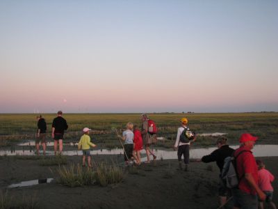 Auf Entdeckungstour abends im Watt