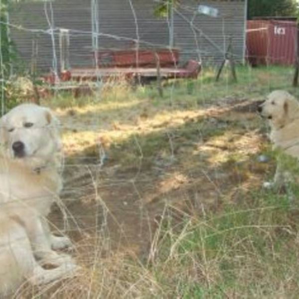 Bio-Landhaus in den H�geln der Toskana