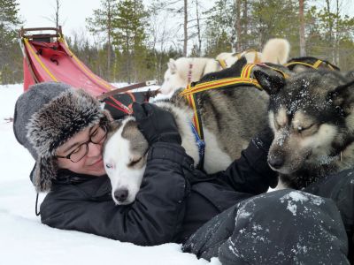 Mit Herrchen darf auch mal geschmust werden (Foto: Jokkmokkguiderna)