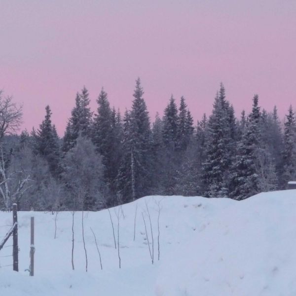 Natur pur: Winterabenteuer im Wildnisdorf - Lappland   