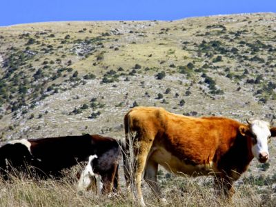 Etappenwandern in Albaniens S�den