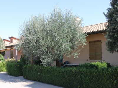 Valle al Metauro Landhaus Country House Italienurlaub Familien