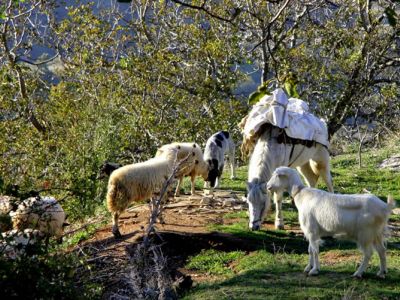 Wandern und Urlaub bei Gastfamilien in Albanien