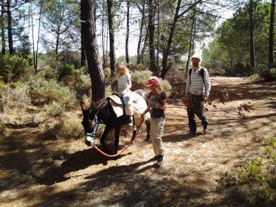 Nachhaltiger Tourismus �kotourismus Portugal