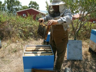 Bio-Bauernhof Agrotourismus Korfu Vraganiotika - Fr�hst�ckshonig 