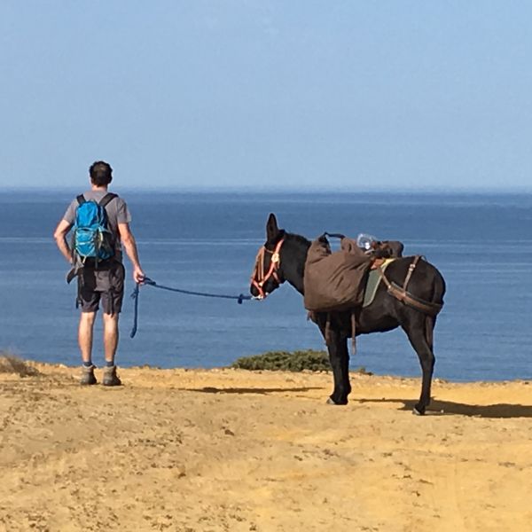 Eselwandern an der Algarve: Steilk�sten, Sandstr�nde und wildes Hinterland - Portugal