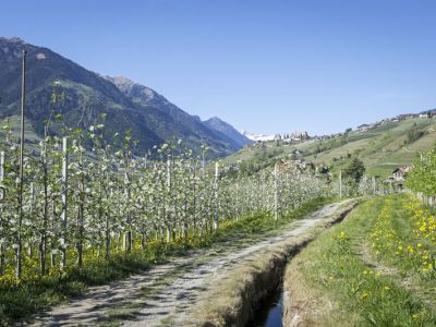 Wandern mit Kindern im Vinschgau