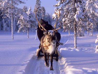 Rentierschlittenfahrt (Foto: Sandra Peter und Jochen Oetinger)