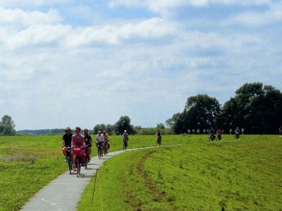 Zumeist geht der Weg eben durch die flache Landschaft