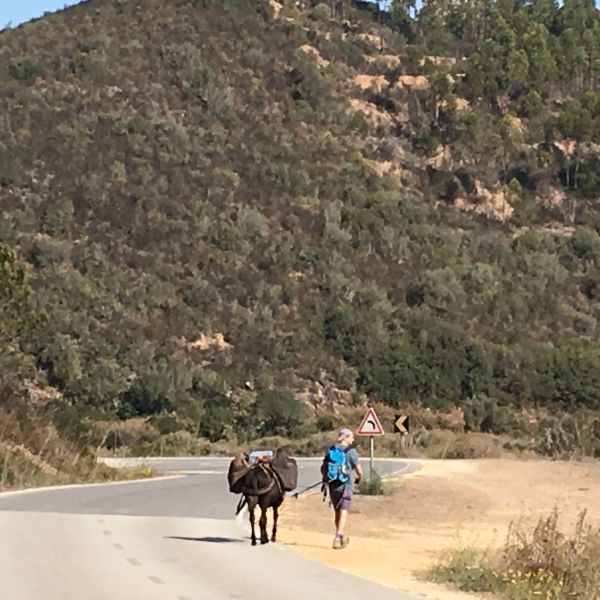 Eselwandern an der Algarve: Steilk�sten, Sandstr�nde und wildes Hinterland - Portugal