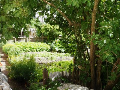 nat�rlich reisen in Slowenien Alpen Urlaub in der Natur