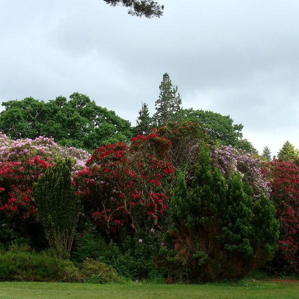 �ko-Pension in Irland - G�lische Kultur und wilde K�sten