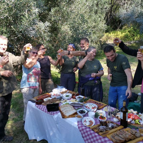 Rund um die Olivenernte auf Korfu - Griechenland