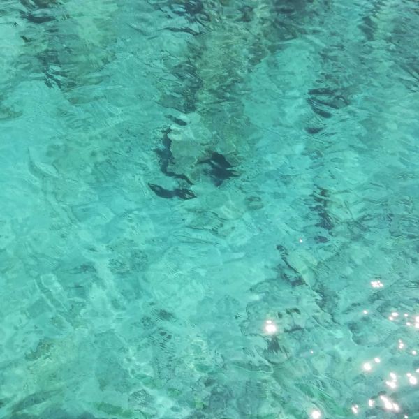 Thesprotia - Strandurlaub im gr�nen Griechenland