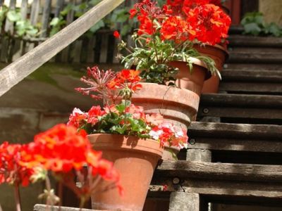 Reiterhof im Niedersachsen Deutschland Reiturlaub f�r Familien