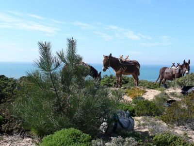 Eselwandern an der Algarve Portugal Eltern mit Kind Reise