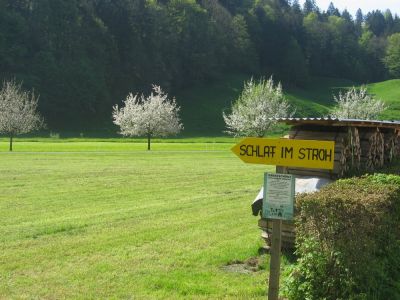 Single mit Kind Wandern in den Schweizer Alpen