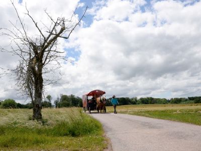planwagen urlaub frankreich mann geht