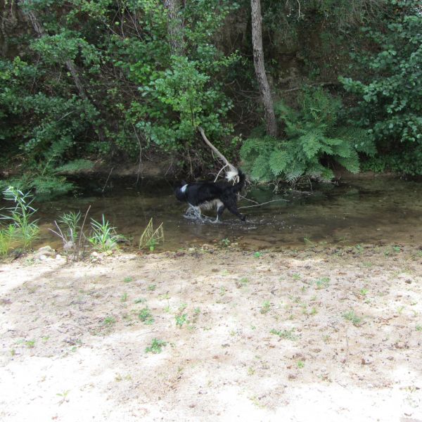 Agriturismo auf Sardinien - Urlaub zwischen Bergen und Meer
