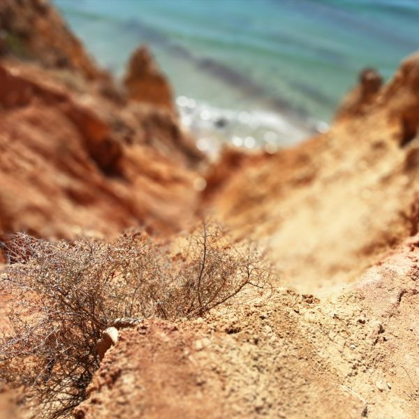 Wandern an der Algarve: Von der Serra Monchique bis zur Atlantikk�ste - Portugal