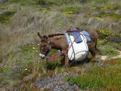 Aktivurlaub Wandern Costa Vicentina Algarve Portugal