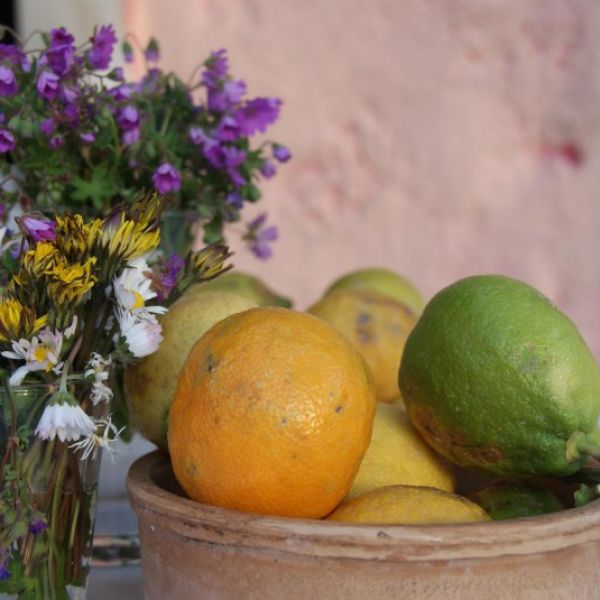 Alte �lm�hle - Ferienhaus-Urlaub auf Korfu - Griechenland