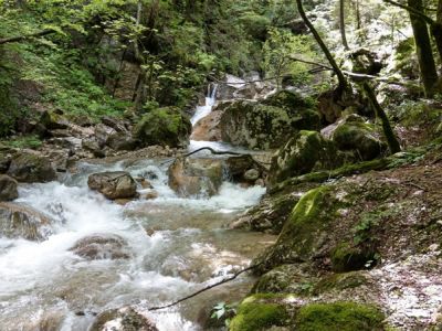 Moggio Schlucht im Valsugana Tal bei Wanderwoche mit Gep�cktransport