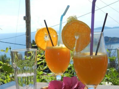 Frisch gepresster Orangensaft Sommer Urlaub