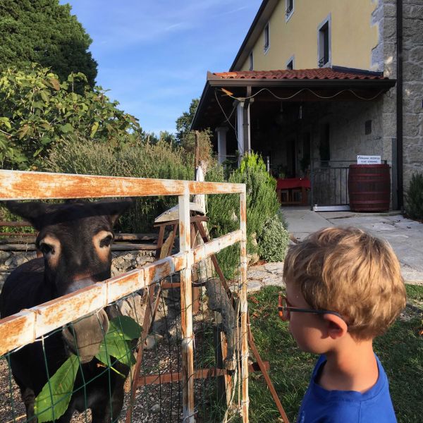 Landpension im urspr�nglichen Istrien - Kroatien