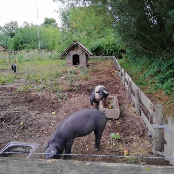 �ko-Haus an der Ostsee - Familienurlaub Gl�cksburg/Schleswig Holstein