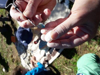 Kreativprogramm auf Korfu Honigtal