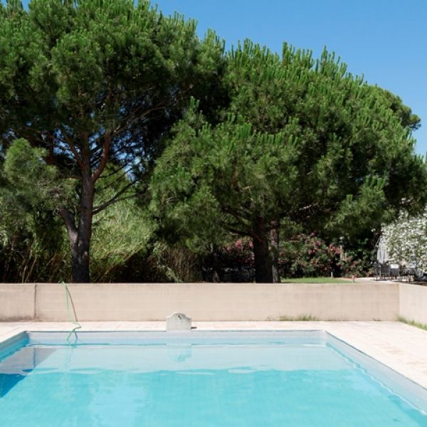 Familienurlaub im Landhaus Mas Fonrouge - Camargue/S�dfrankreich