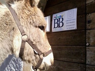 Eseltrekking Abruzzen Bed and Breakfast in Goriano Valli