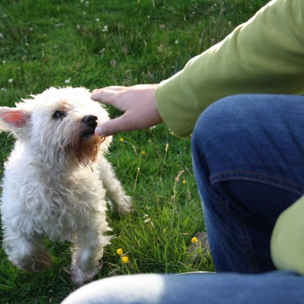 �ko-Pension in Irland - G�lische Kultur und wilde K�sten