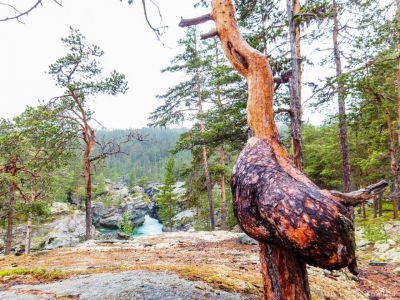 Naturimpressionen im Urlaub f�r Familien in Norwegen