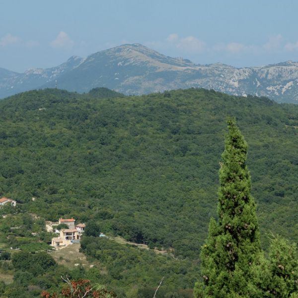 Landpension im urspr�nglichen Istrien - Kroatien